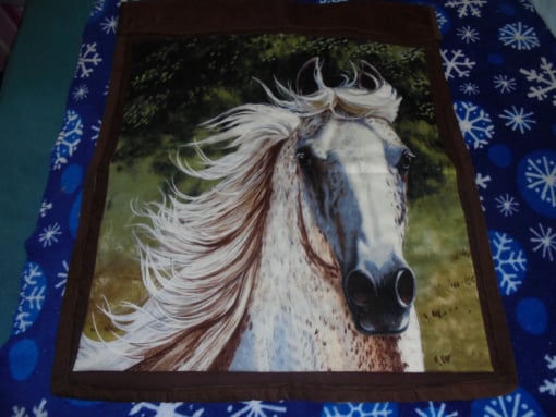 #1243 Horse in the Wind 42"x26" $20